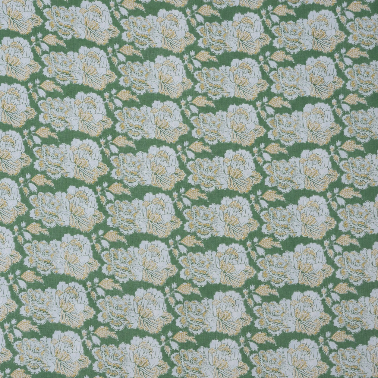 Cabbage Rose Mango Naples Yellow
